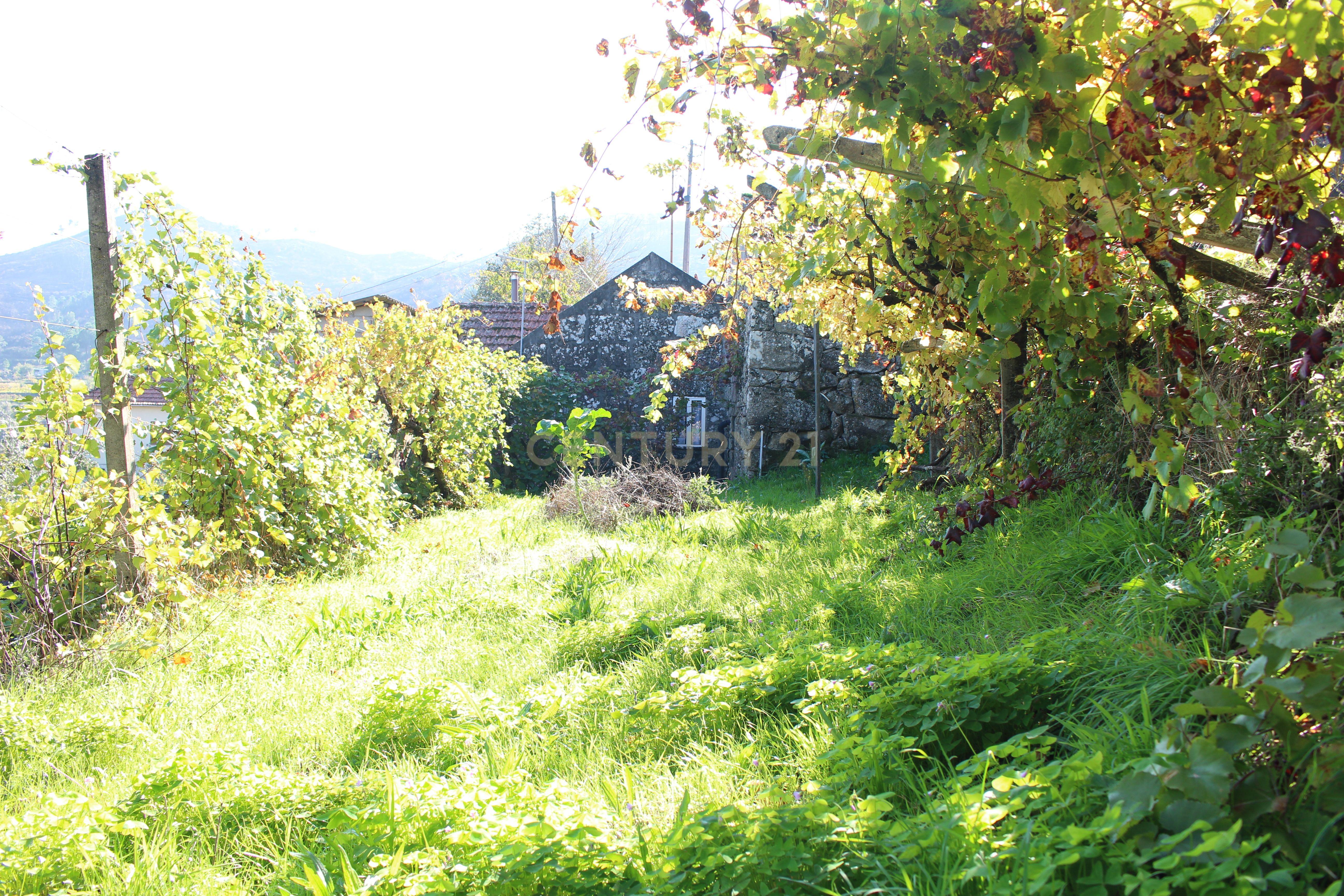 Moradia V2 em Oliveira do Douro, Cinfães - Image 25