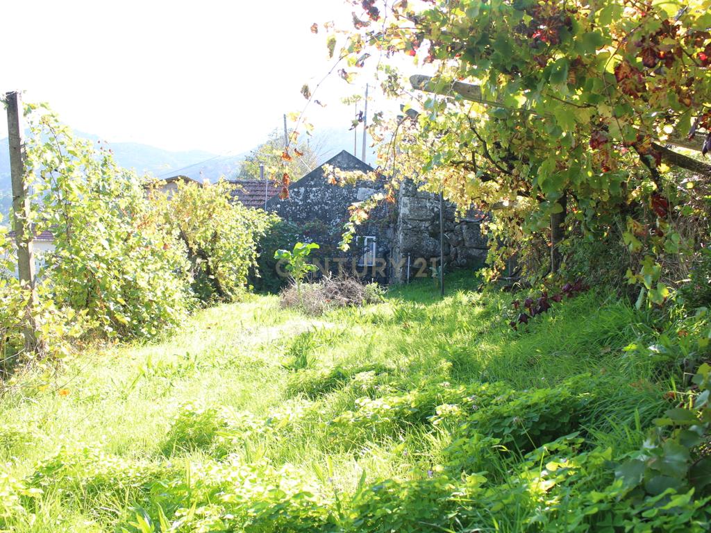 Casa para Recuperação em Cinfães - Oportunidade Única! - Image 14