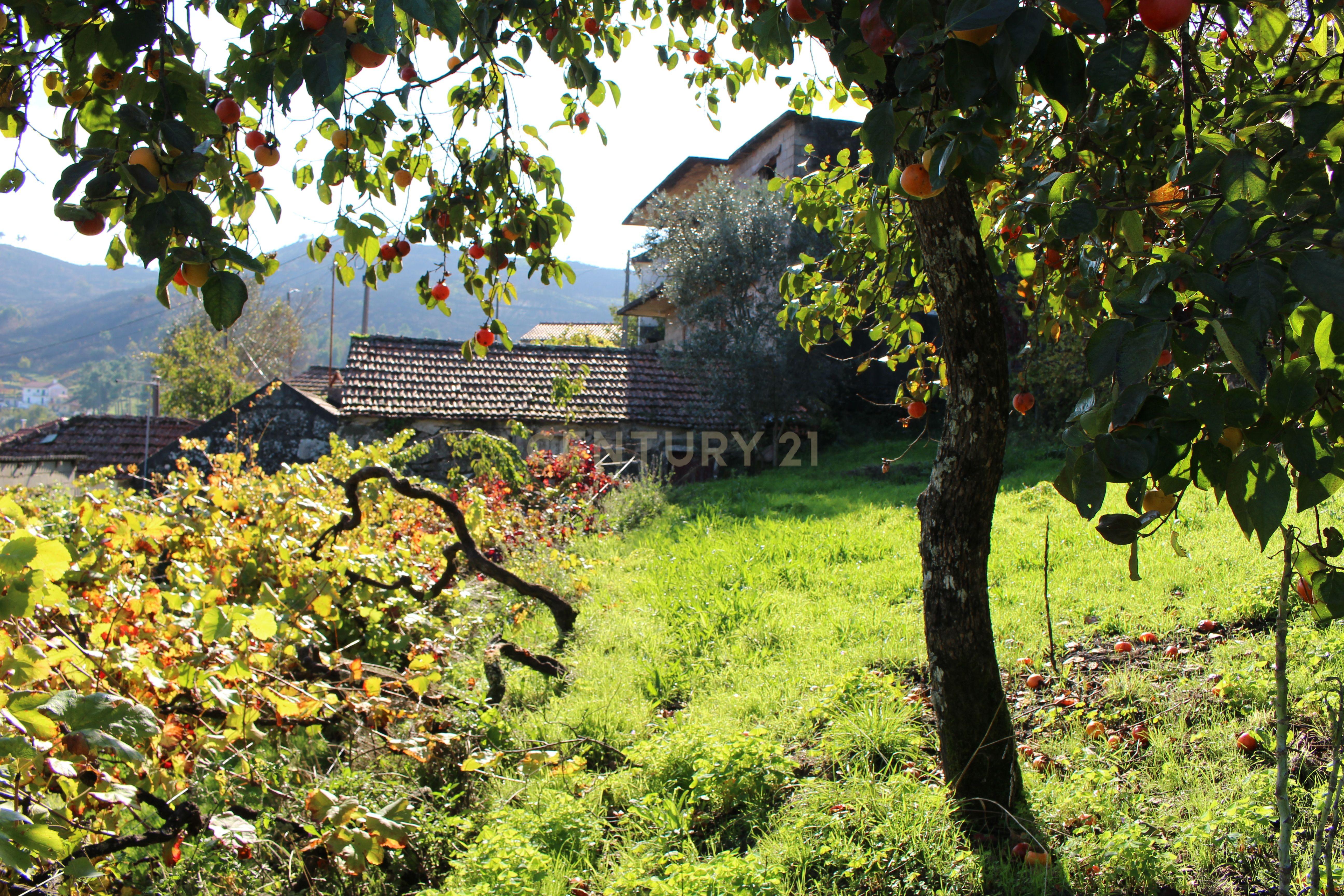 Moradia V2 em Oliveira do Douro, Cinfães - Image 3