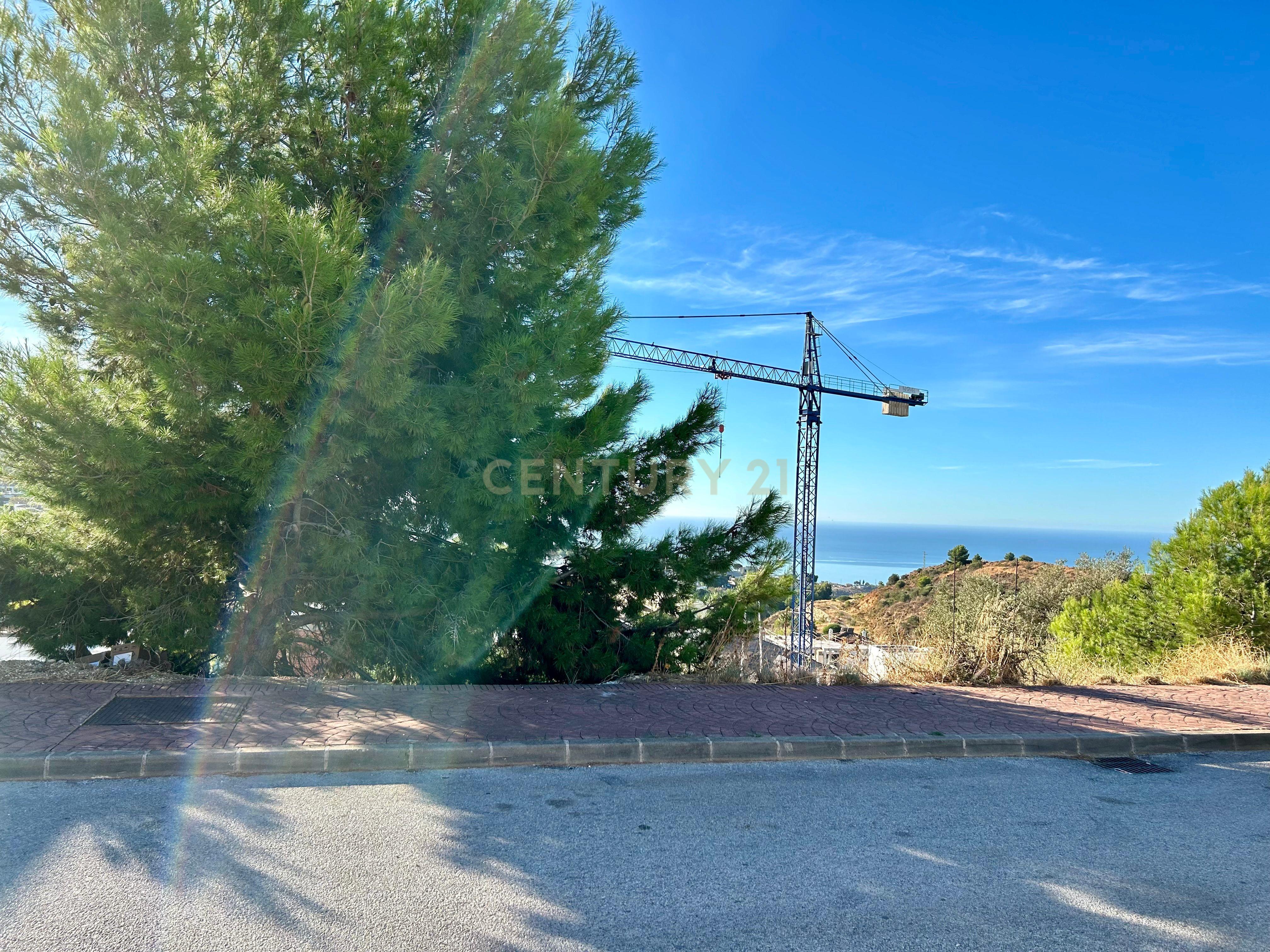 undefined - Image 15