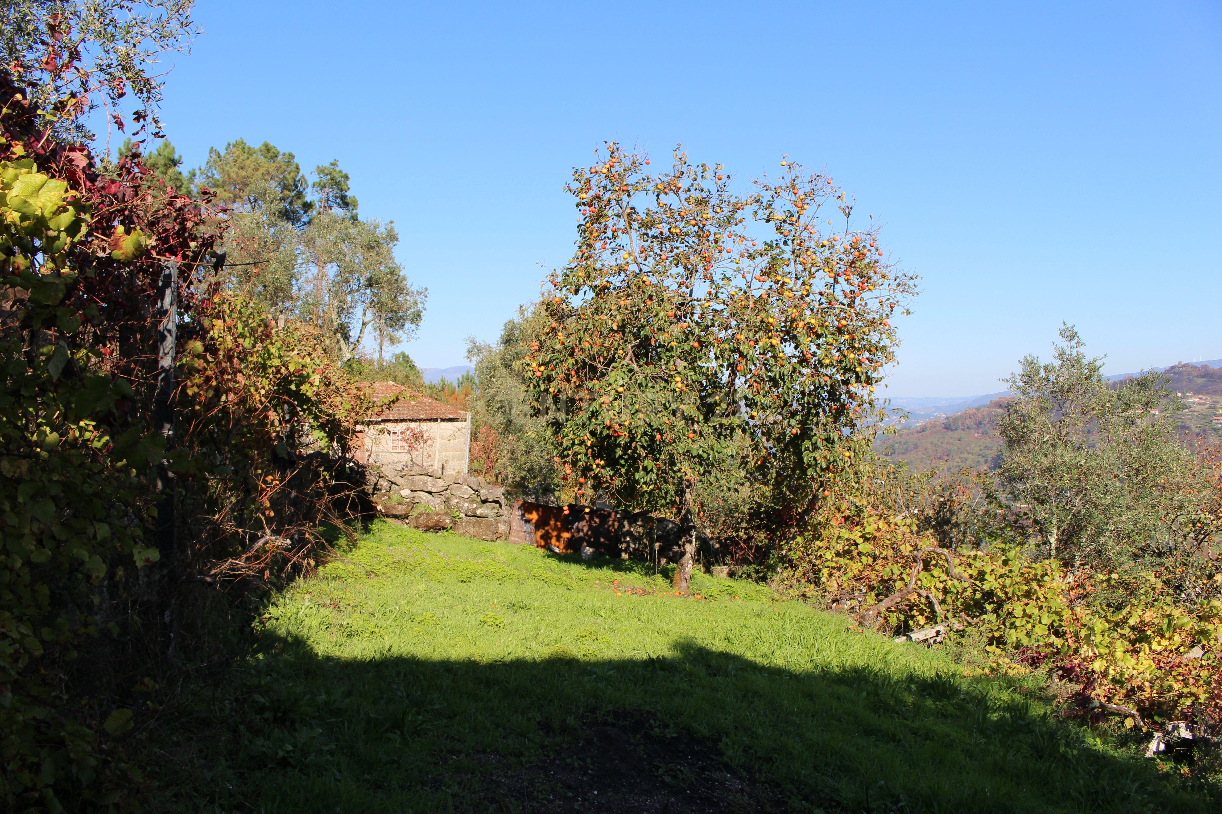 Moradia V2 em Oliveira do Douro, Cinfães - Image 28