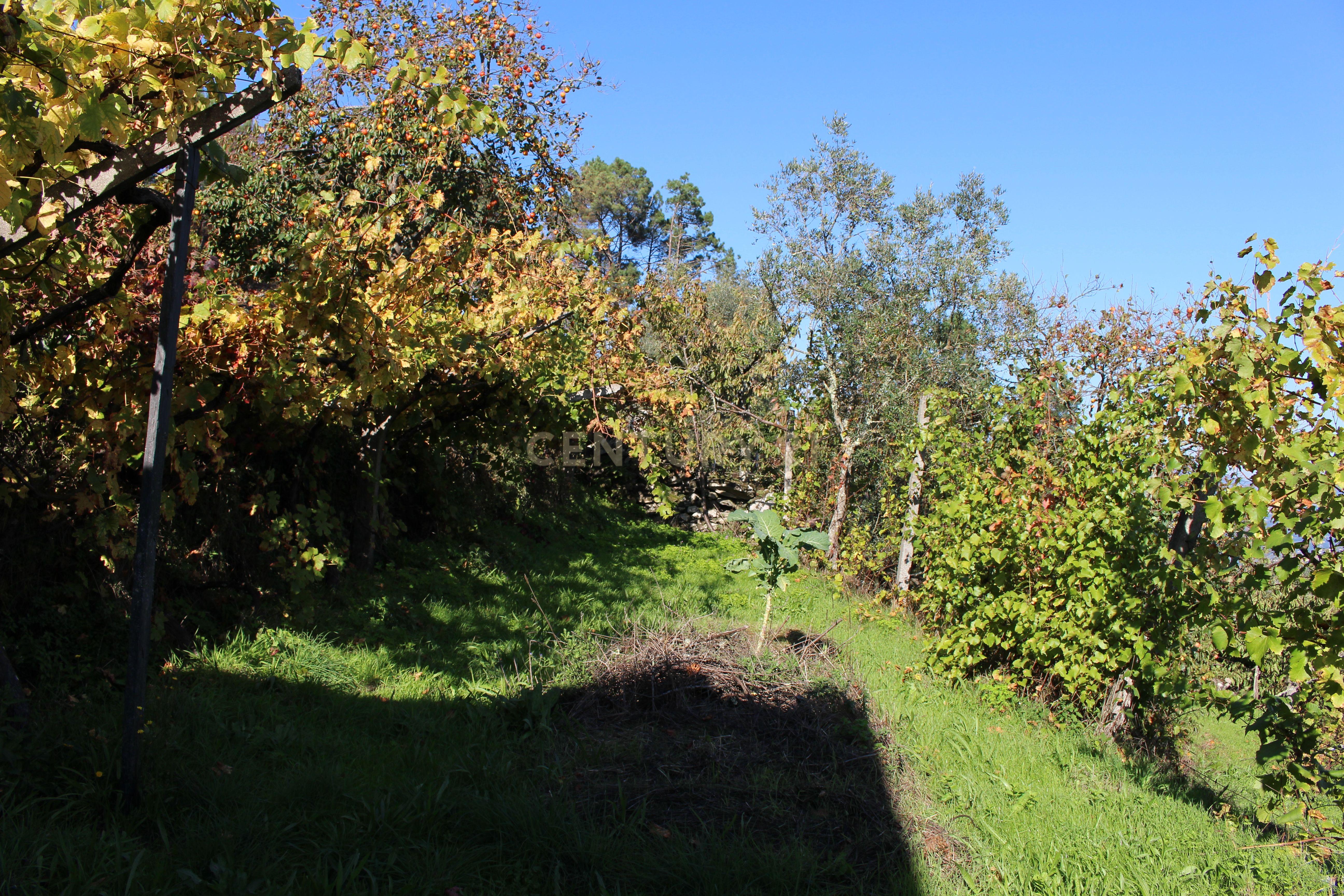 Moradia V2 em Oliveira do Douro, Cinfães - Image 19