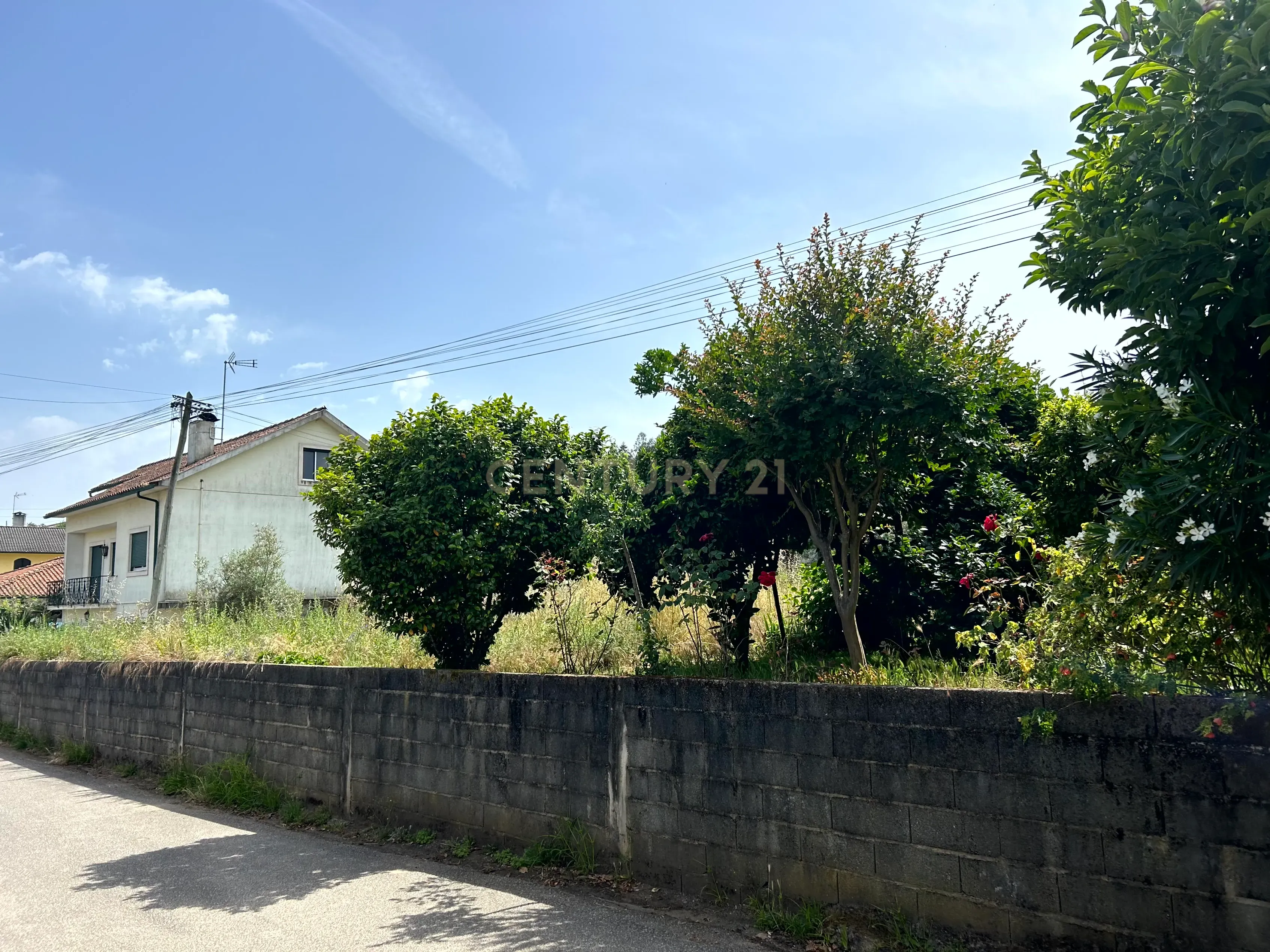 Moradia com terreno - Nandufe - Image 29