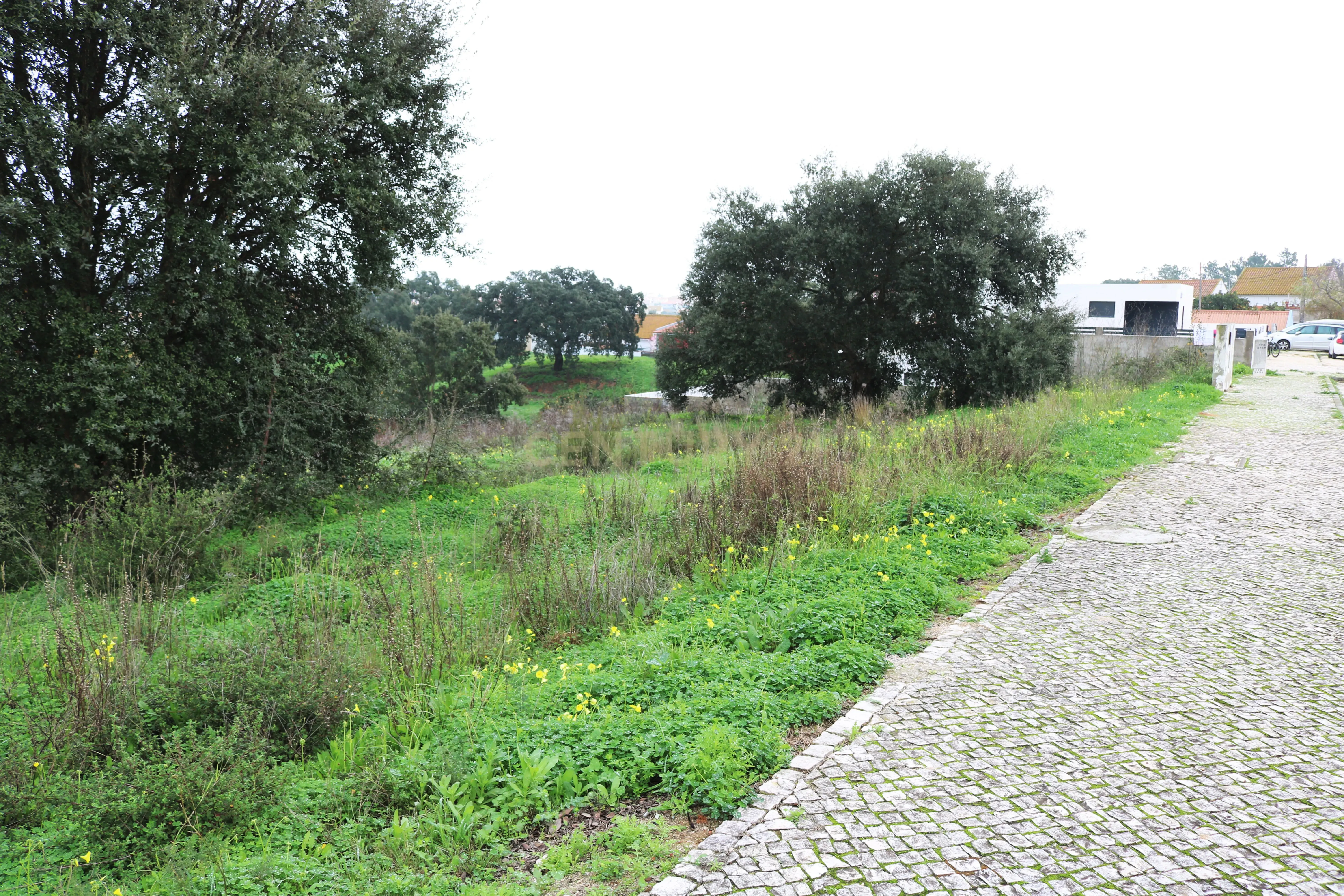 Lotes para construção de moradias isoladas até 210m2 de área construção - Image 8