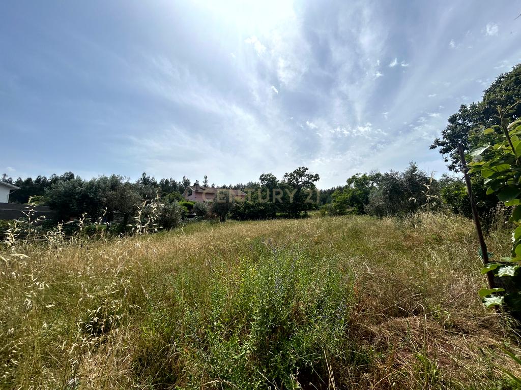 Moradia com terreno - Nandufe - Image 31
