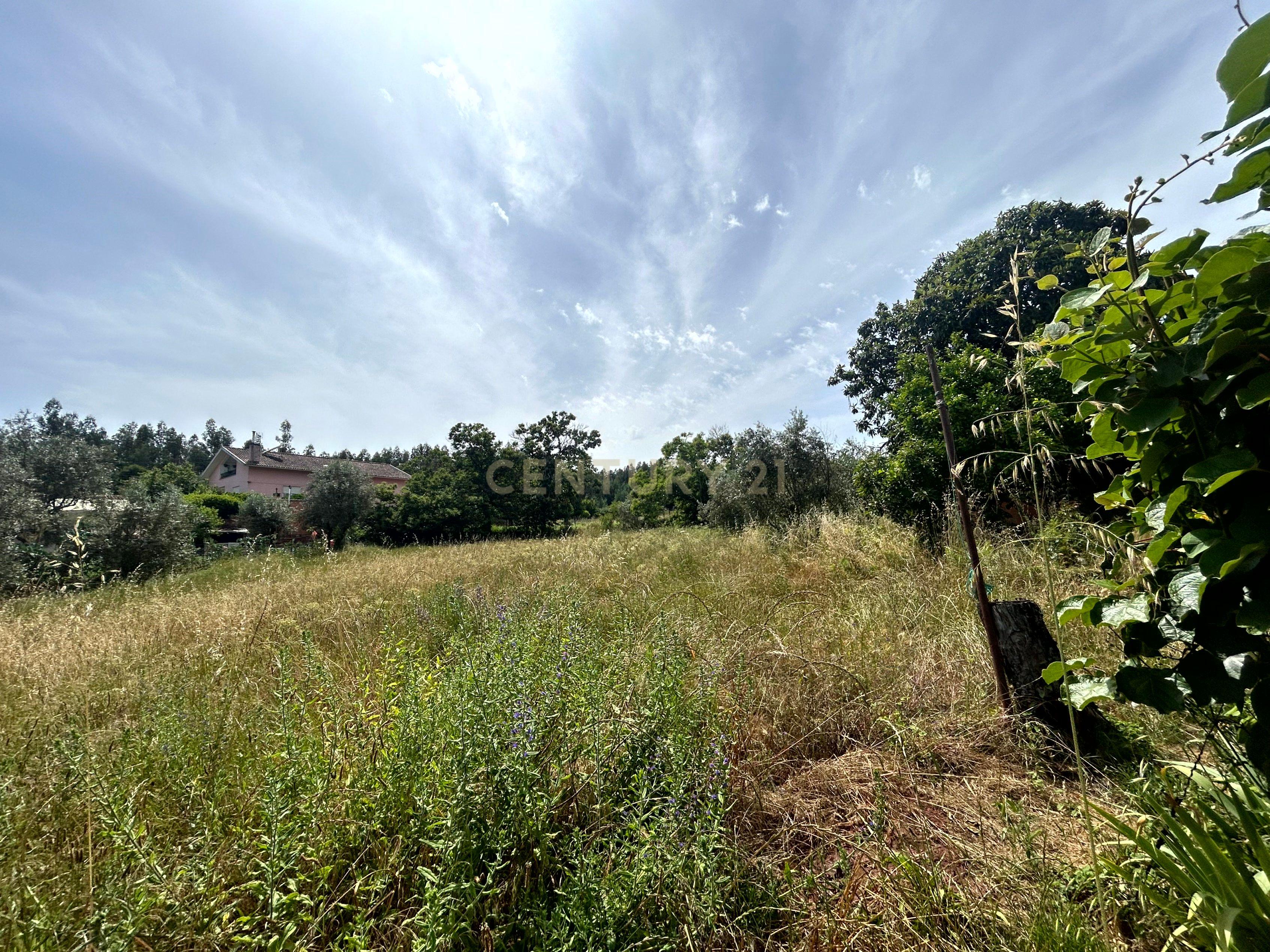 Moradia com terreno - Nandufe - Image 34