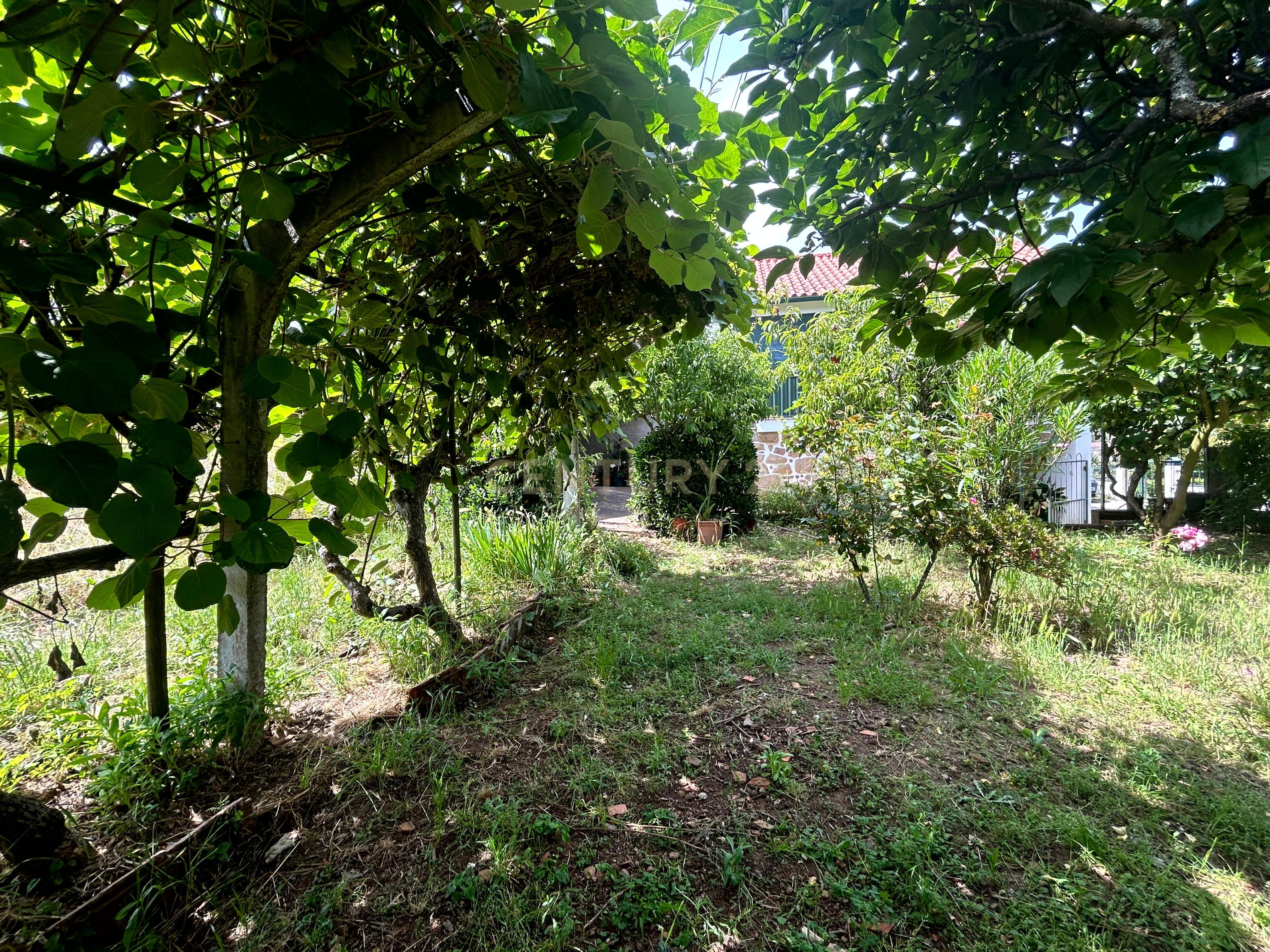 Moradia com terreno - Nandufe - Image 32