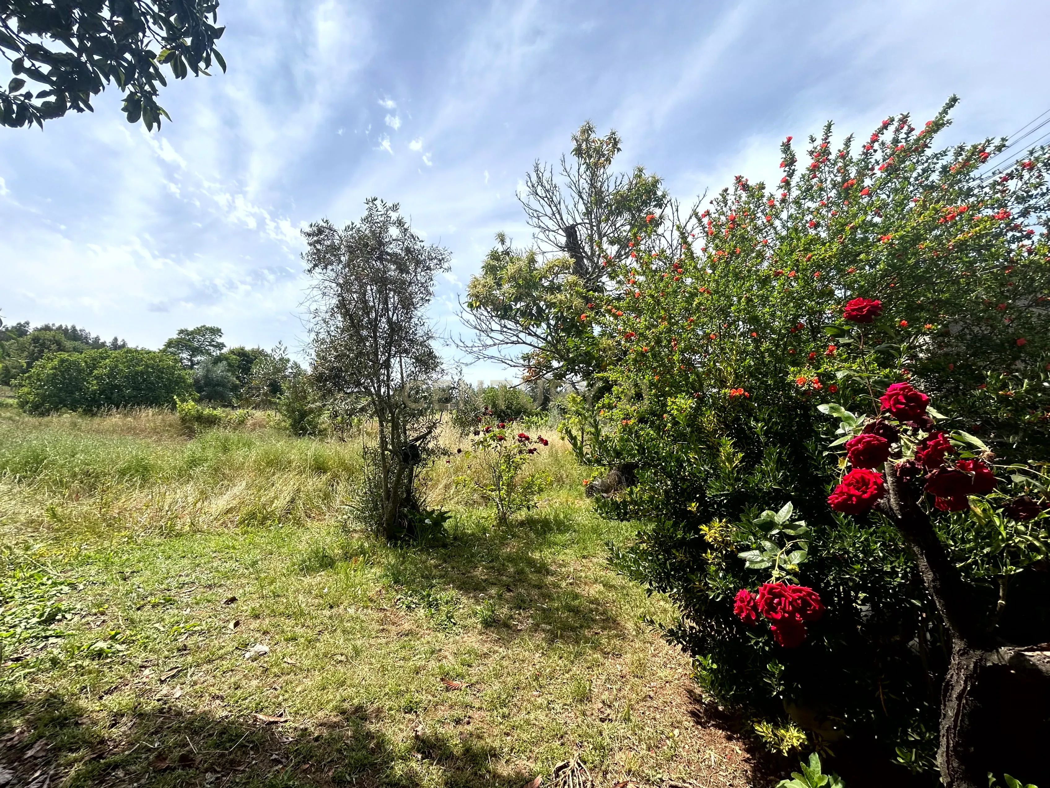 Moradia com terreno - Nandufe - Image 36