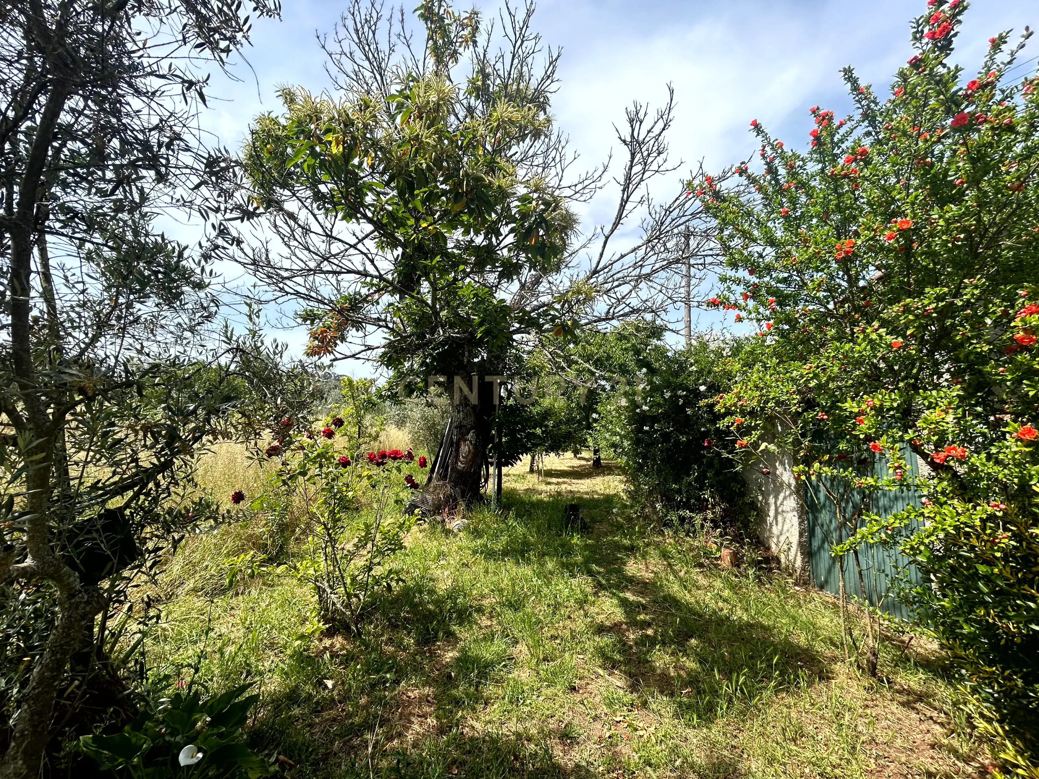 Moradia com terreno - Nandufe - Image 37