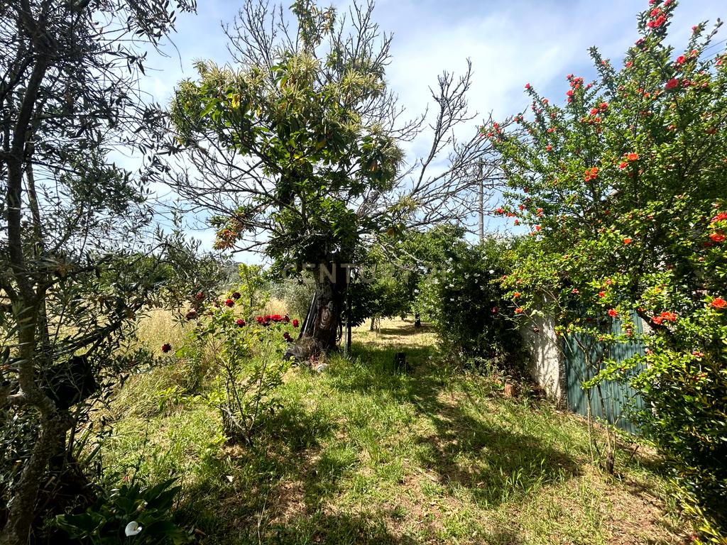 Moradia com terreno - Nandufe - Image 37