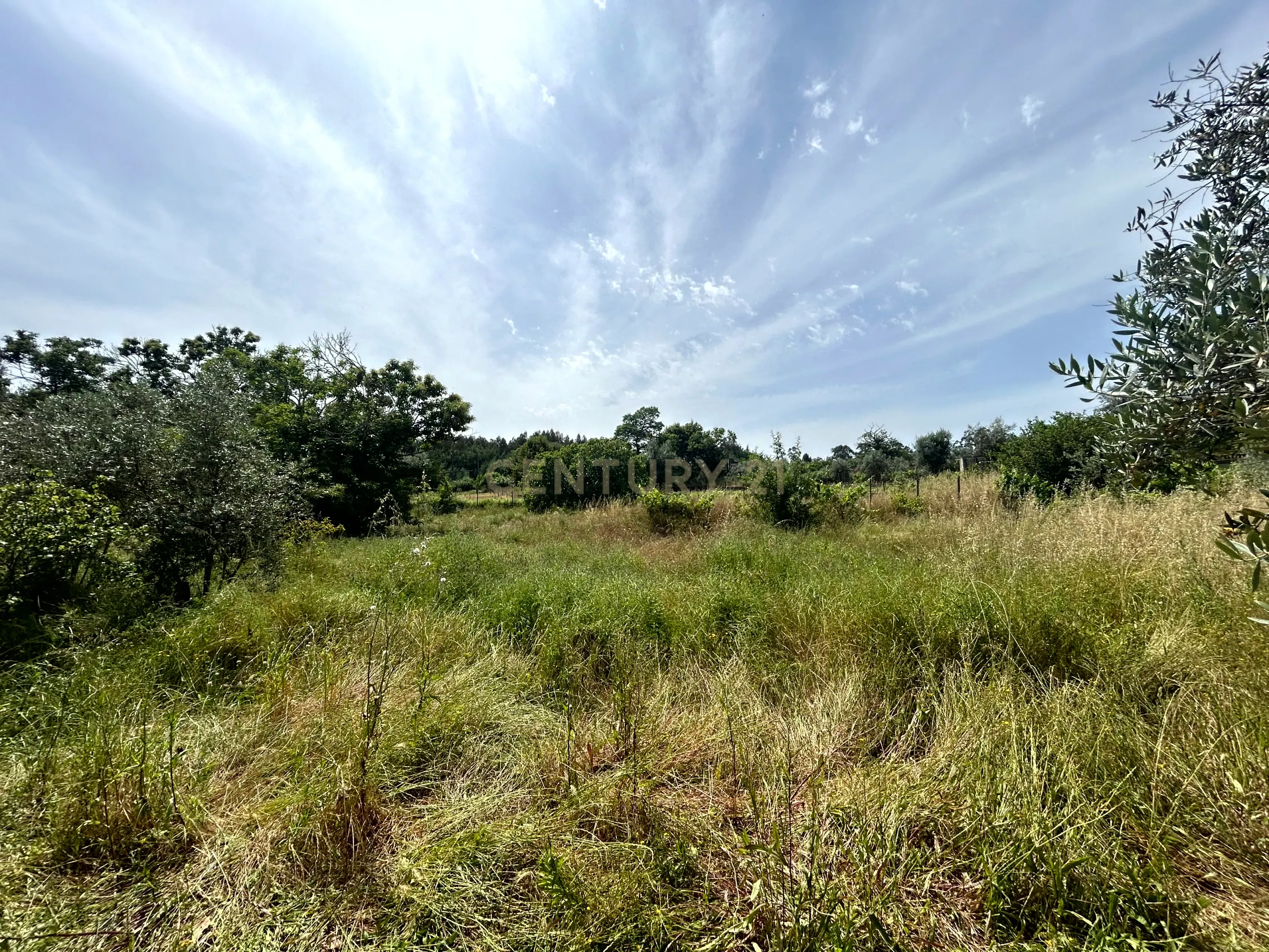 Moradia com terreno - Nandufe - Image 35