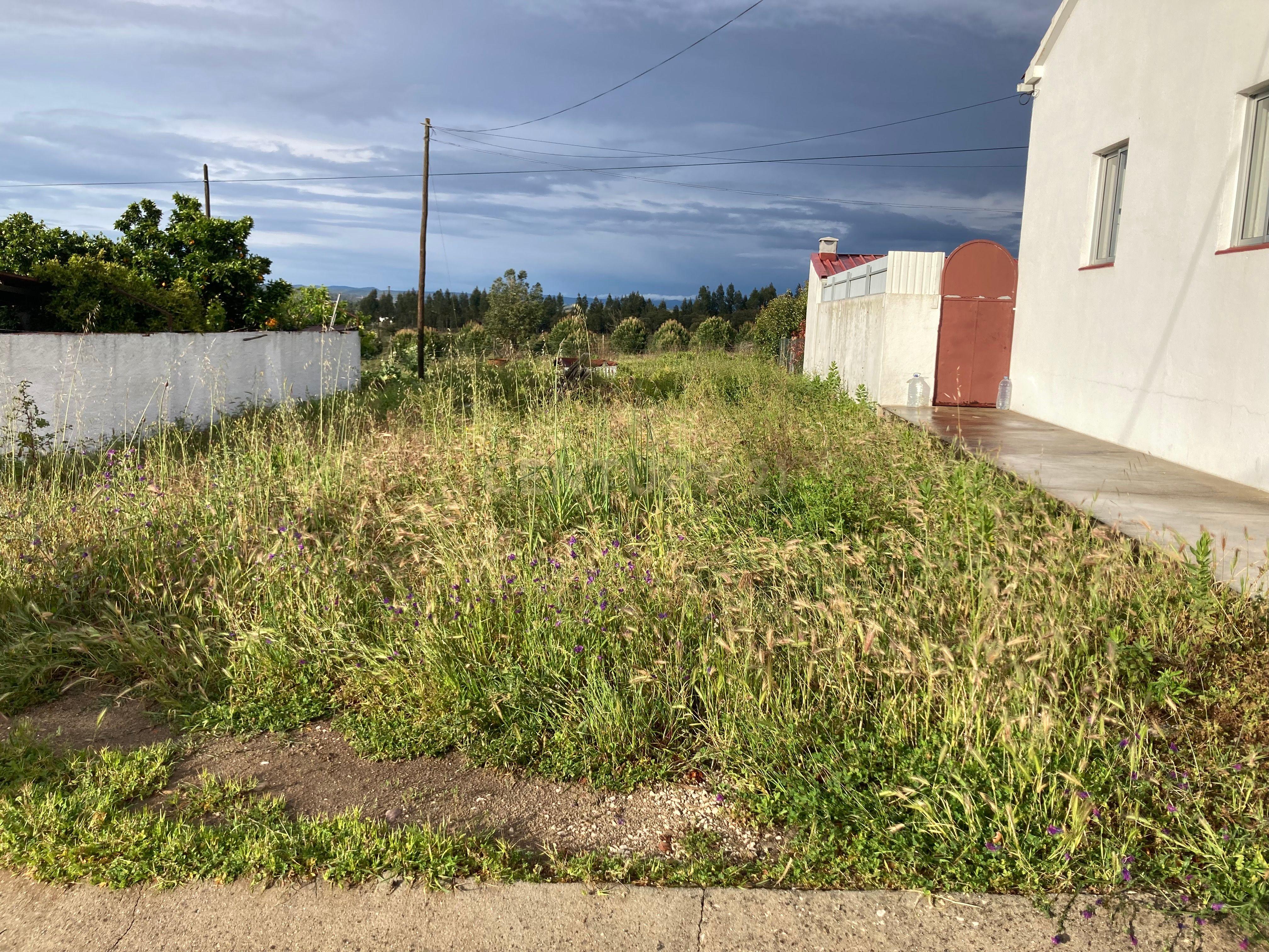 Terreno Urbano em Tramagal - Image 4