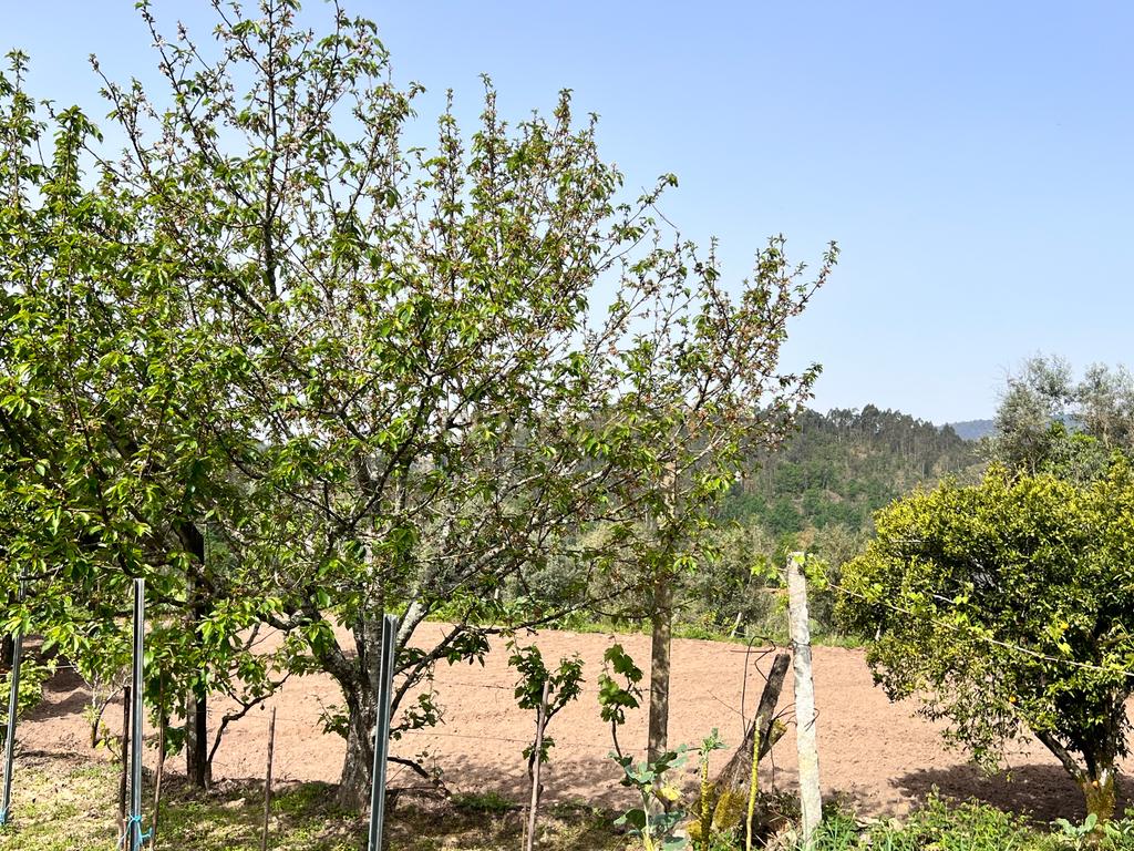 Casa para renovar em Arcozelo das Maias, com 400 m² de área construída e 550 m² de terreno. - Image 51