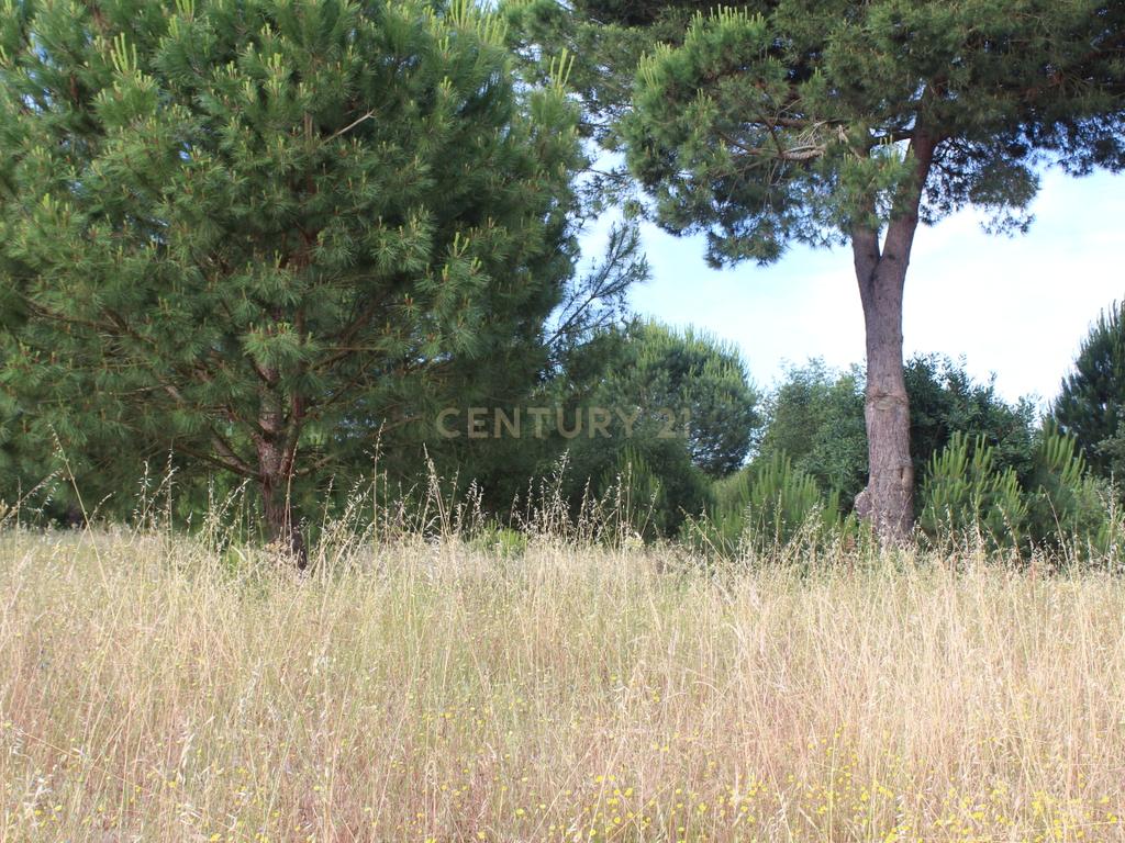 Terreno em Pegões Velhos com 16901 m2 - Image 19