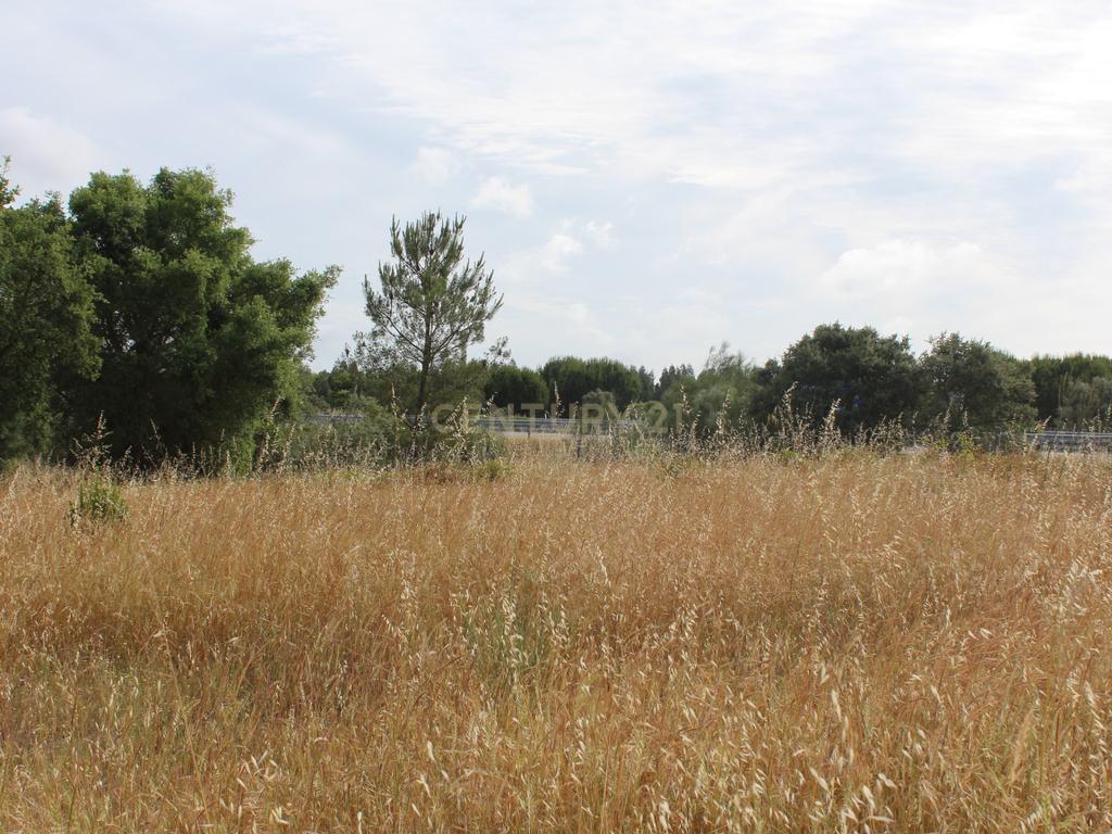 Terreno em Pegões Velhos com 16901 m2 - Image 4