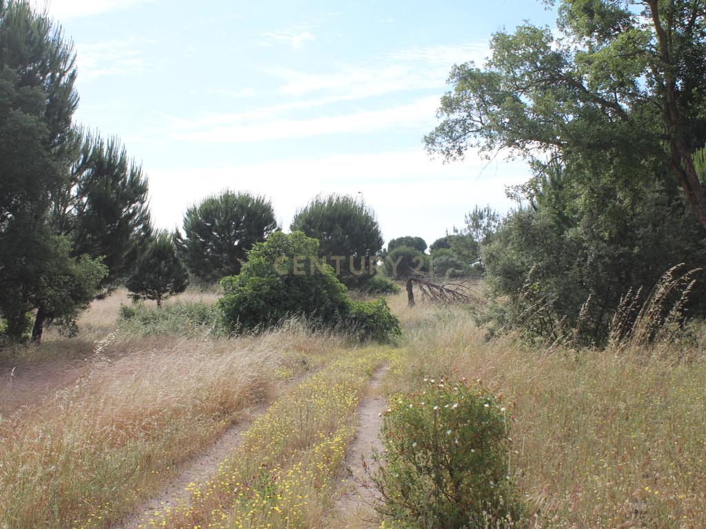 Terreno em Pegões Velhos com 16901 m2 - Image 11