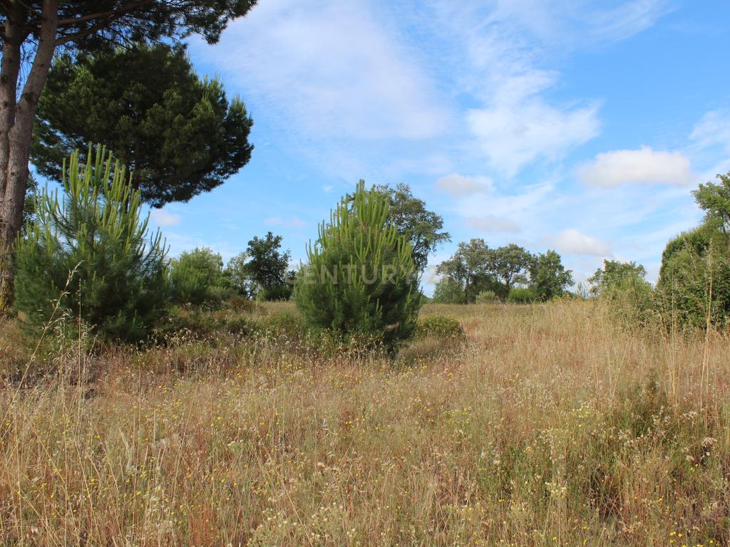 Terreno em Pegões Velhos com 16901 m2 - Image 13