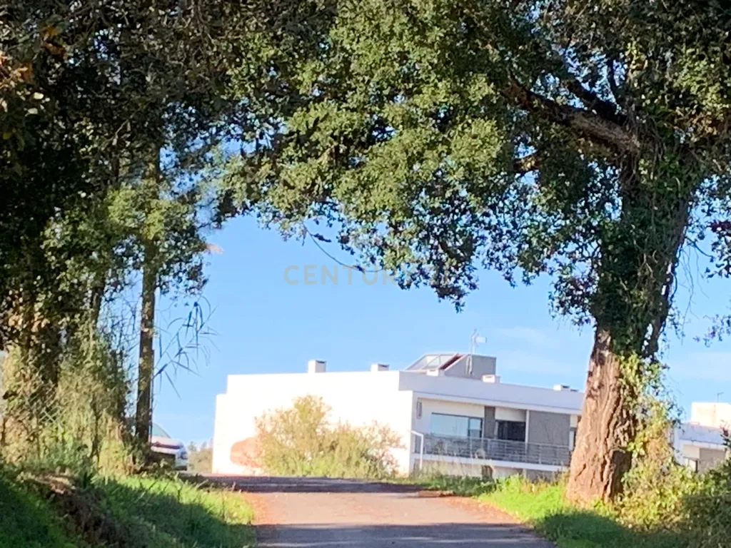 Terreno rústico com 1350m2, passível de construção - urbanização, nesta altura ainda plantado de pinheiros, plano, muito próximo da Urbanização de Vale do Louro, próximo de todas as infraestruturas indispensáveis e servido por estrada alcatroada. - Image 4
