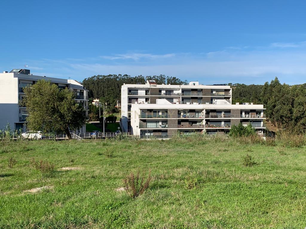 Terreno rústico com 1350m2, passível de construção - urbanização, nesta altura ainda plantado de pinheiros, plano, muito próximo da Urbanização de Vale do Louro, próximo de todas as infraestruturas indispensáveis e servido por estrada alcatroada. - Image 12
