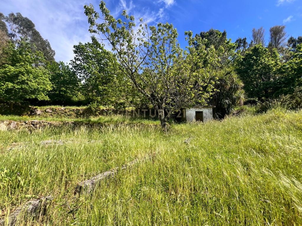Casa com 333m², contendo 5 quartos, uma loja no térreo, área externa e terreno em São João da Serra. - Image 38