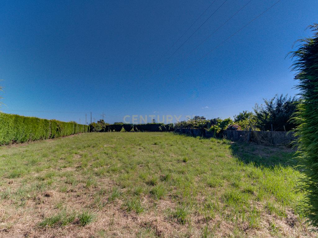 Terreno com 1.290m2 para construção de Moradia até 774m2, em Salreu - Image 11