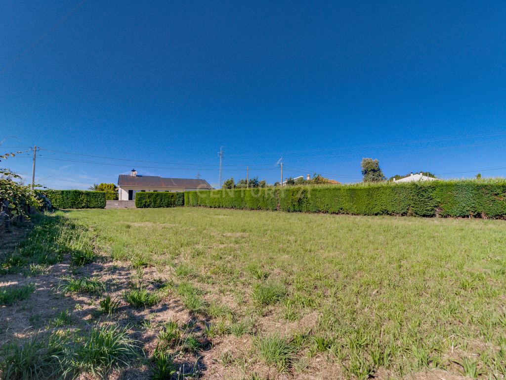 Terreno com 1.290m2 para construção de Moradia até 774m2, em Salreu - Image 6