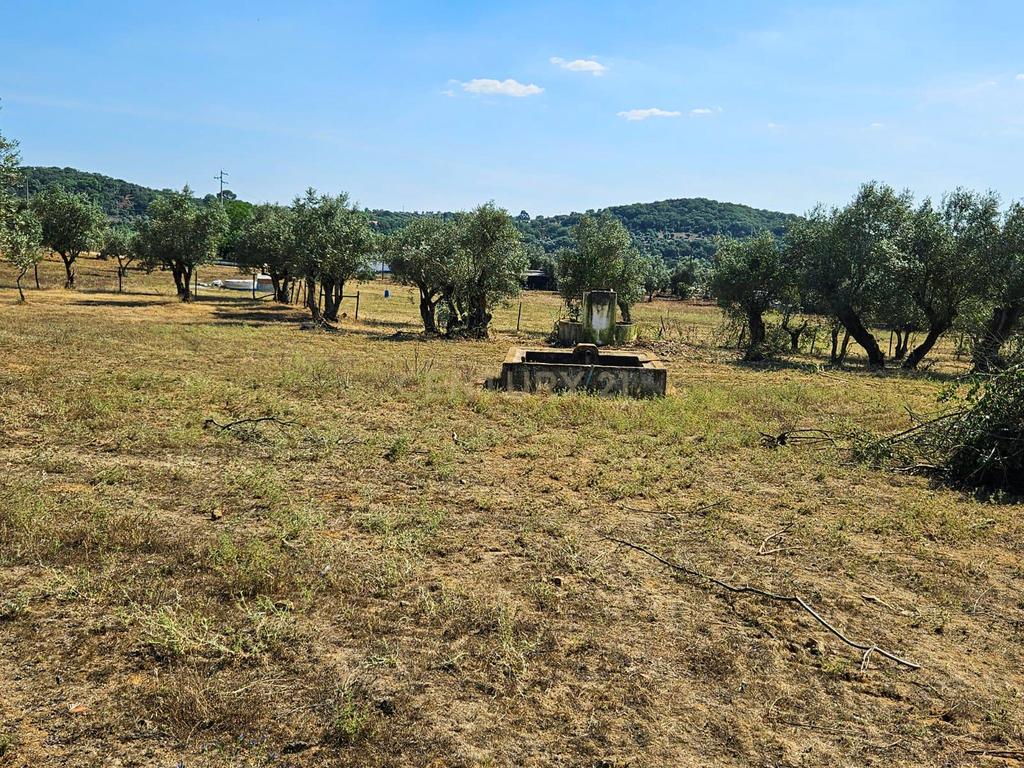 Lote de Terreno com Ruína em Montemor-o-Novo - Image 29