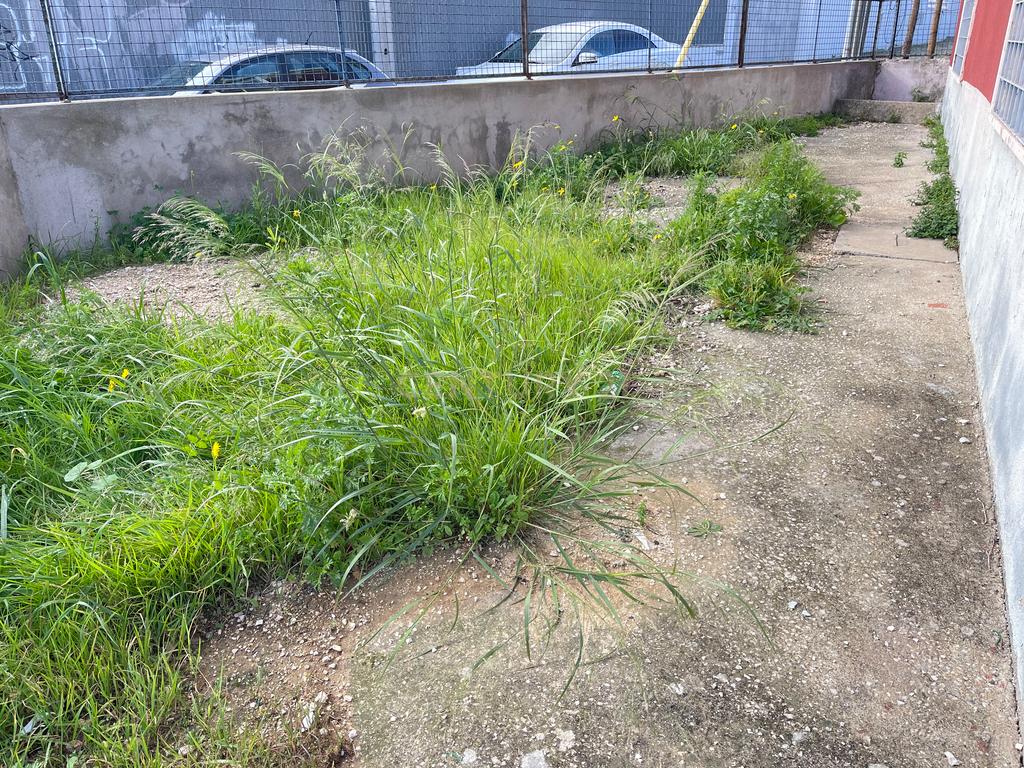 Prédio em Propriedade Total com apartamento T4 e loja - Image 17
