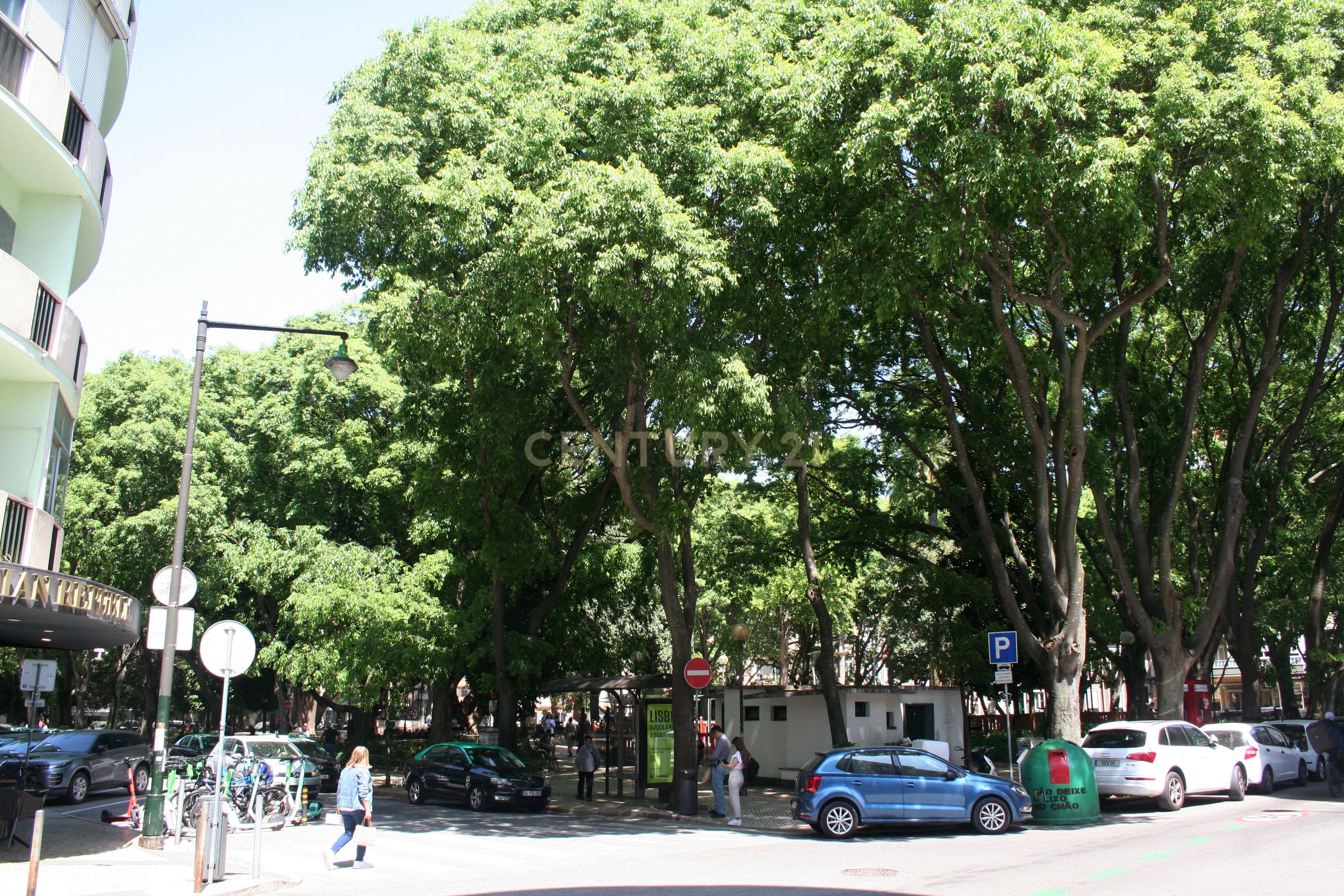 Apartamento com 4 assoalhadas em Campo de Ourique - Image 7
