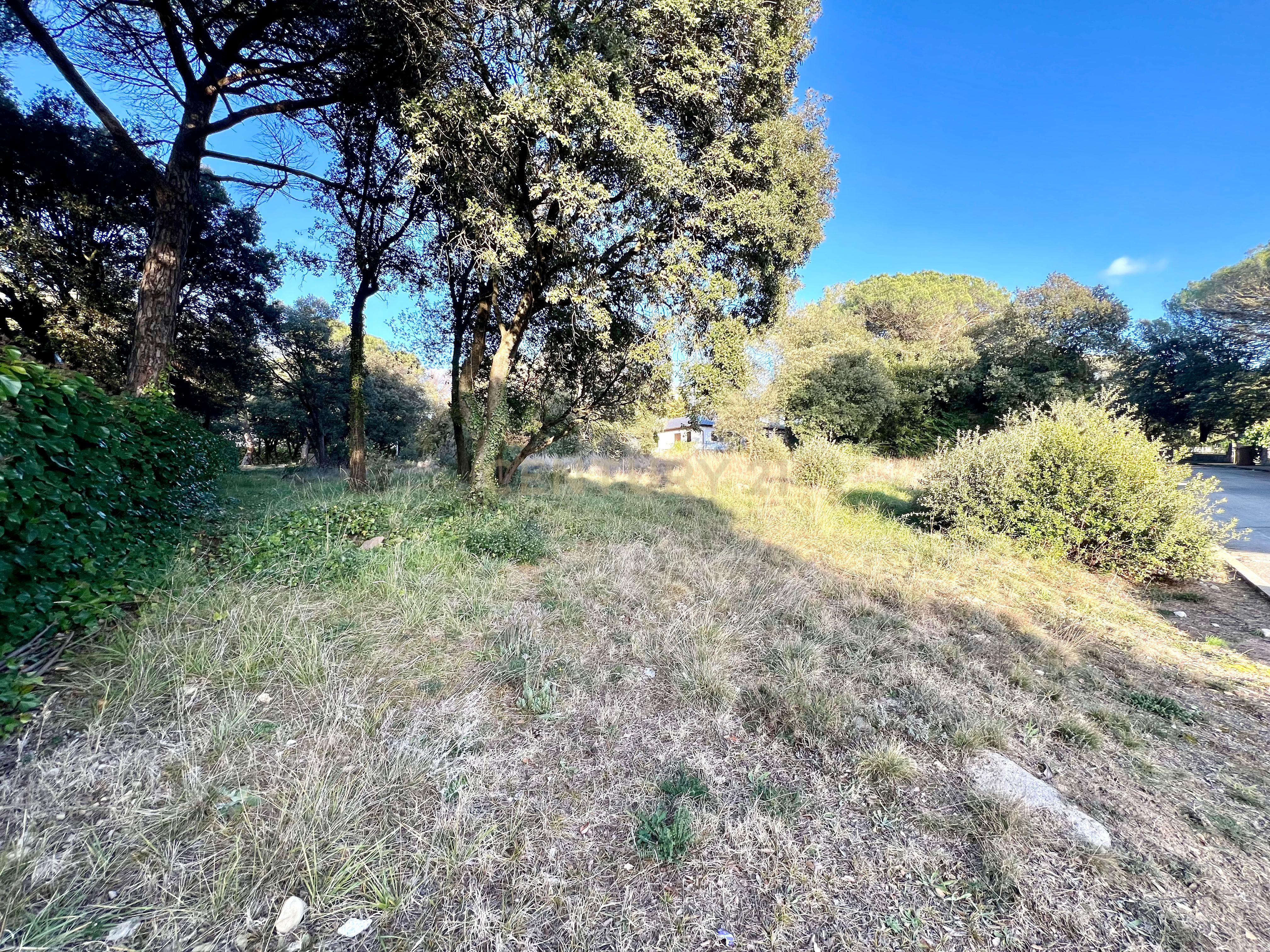 - Image 6