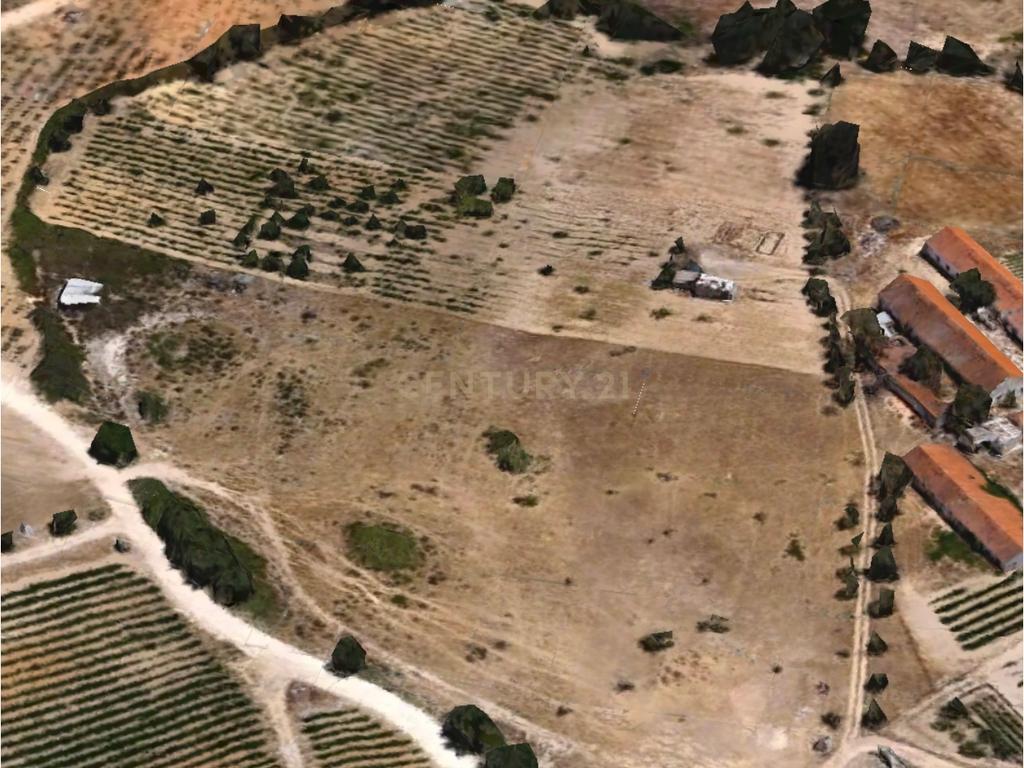 Terreno em Palmela - Image 3