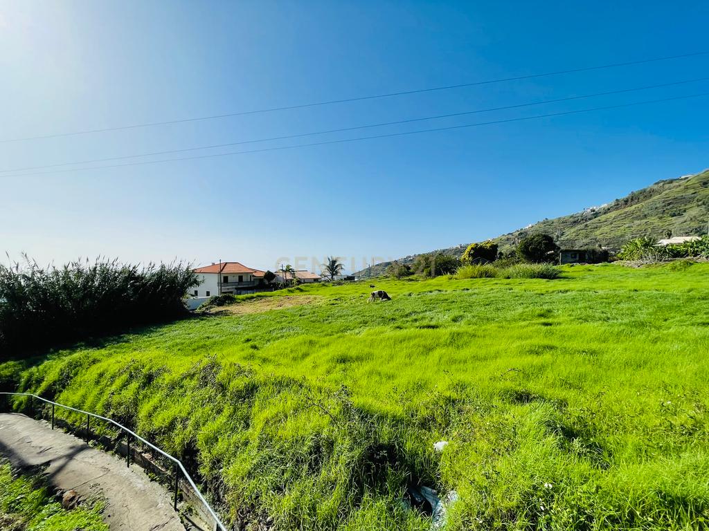 Moradia T3 (completamente remodelada) - Arco da Calheta - Calheta - Image 8