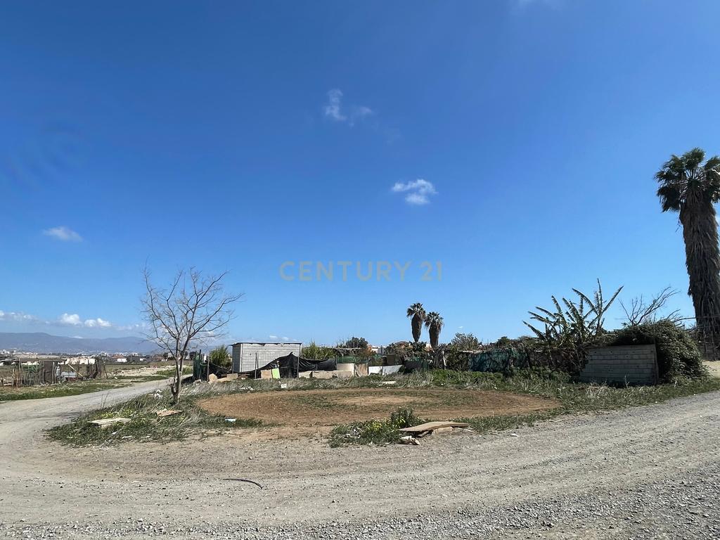 undefined - Image 6