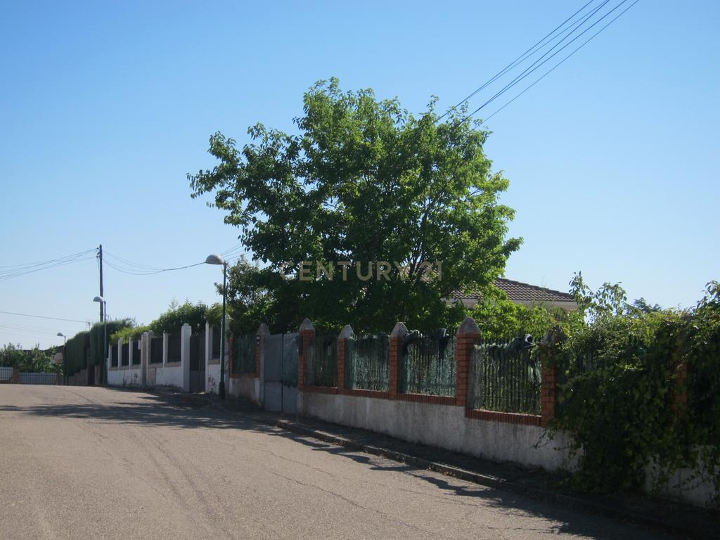 undefined - Image 5