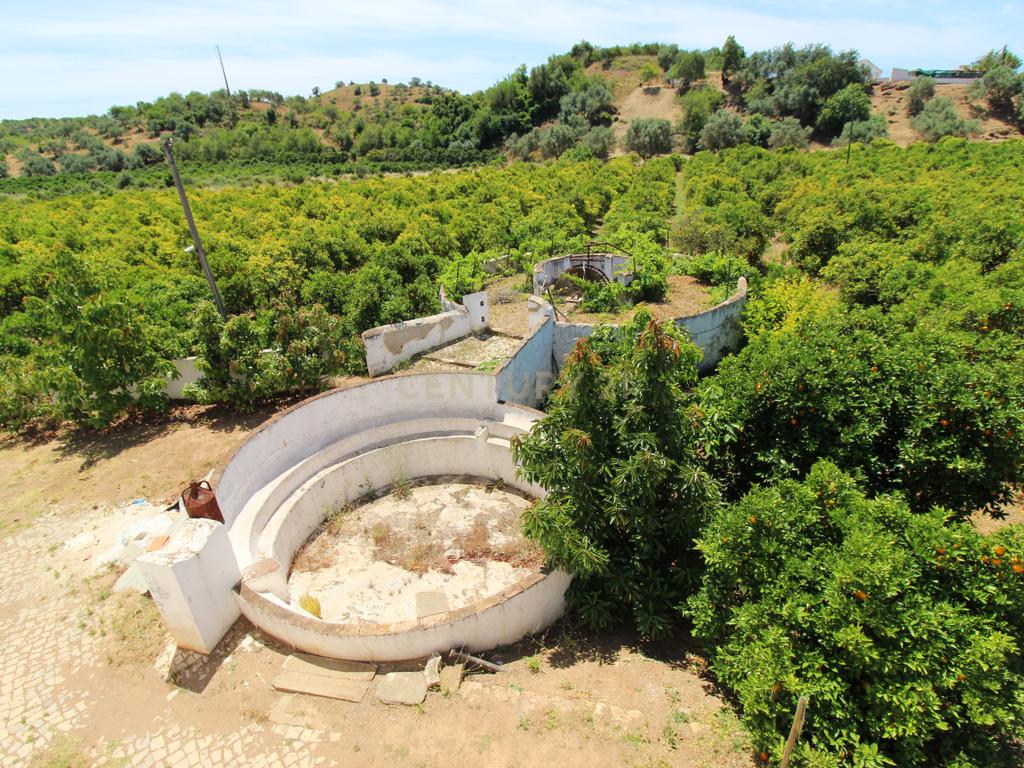 Tavira. Moradia com  implantação de 266 m2 e terreno de 14,5 ha,  em Almargem. - Image 11