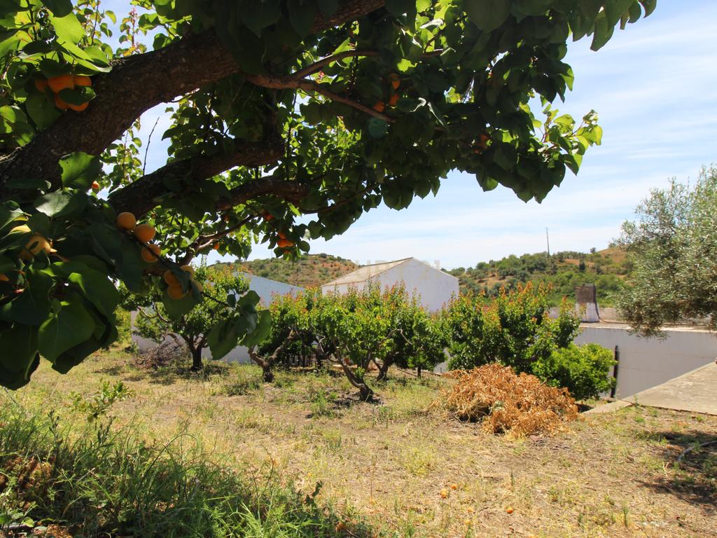 Tavira. Moradia com implantação de 266 m2 e terreno de 14,5 ha, em Almargem. - Image 12