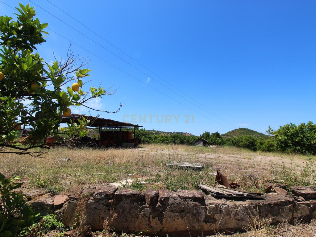 Tavira. Moradia com  implantação de 266 m2 e terreno de 14,5 ha,  em Almargem. - Image 16