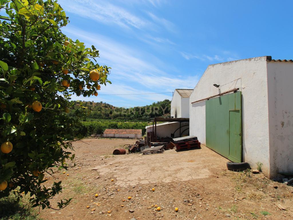 Tavira. Moradia com  implantação de 266 m2 e terreno de 14,5 ha,  em Almargem. - Image 10