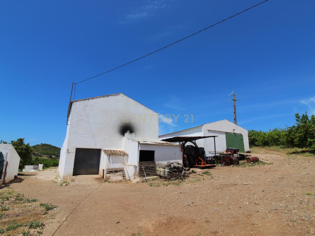 Tavira. Moradia com implantação de 266 m2 e terreno de 14,5 ha, em Almargem. - Image 4