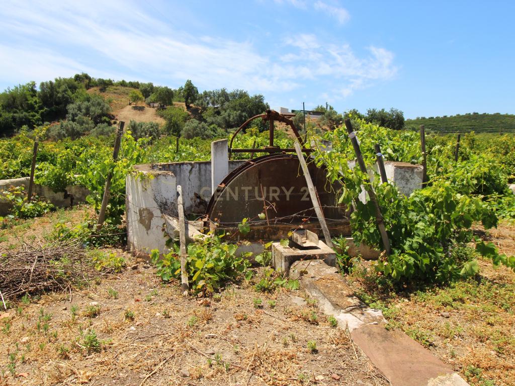 Tavira. Moradia com  implantação de 266 m2 e terreno de 14,5 ha,  em Almargem. - Image 13