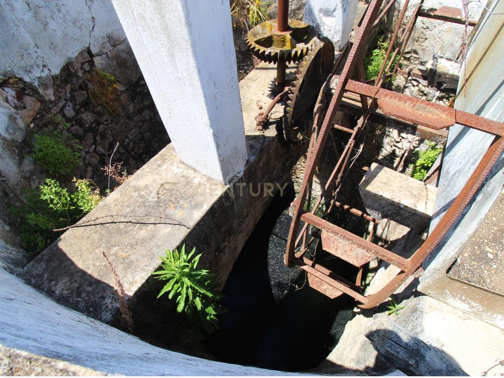 Tavira. Moradia com  implantação de 266 m2 e terreno de 14,5 ha,  em Almargem. - Image 14