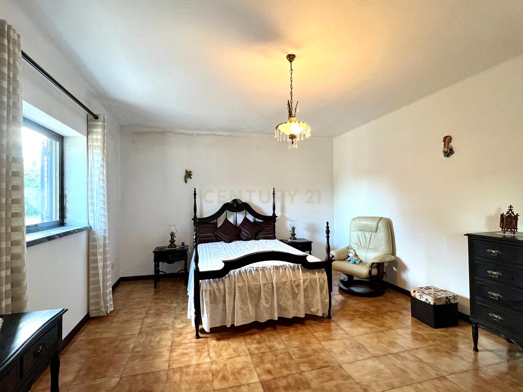 MORADIA T4 -ANSIÃO-  com ARMAZÉM, anexos e 1ha terreno - Image 14