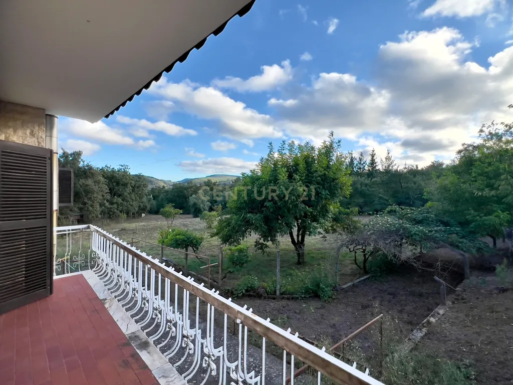 MORADIA T4 -ANSIÃO- com ARMAZÉM, anexos e 1ha terreno - Image 9