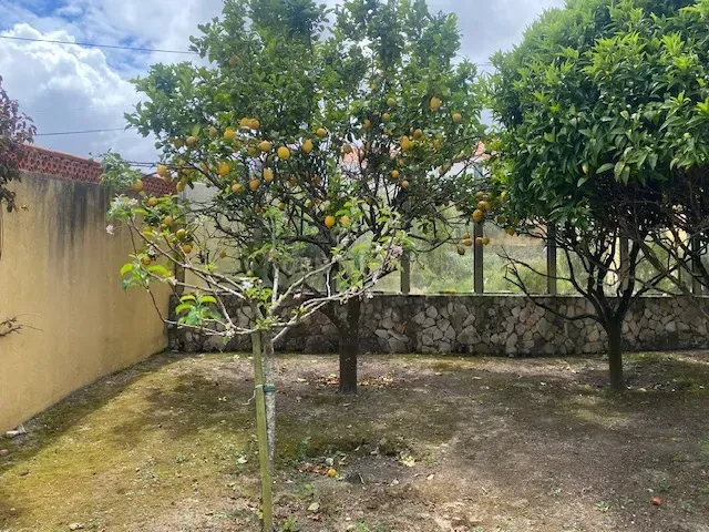 Moradia em Pena Seca- São Bartolomeu de Galegos-Lourinhã - Image 36
