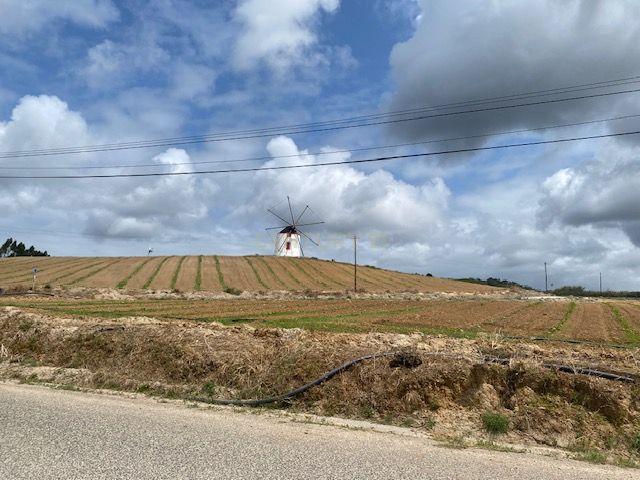 Moradia em Pena Seca- São Bartolomeu de Galegos-Lourinhã - Image 54