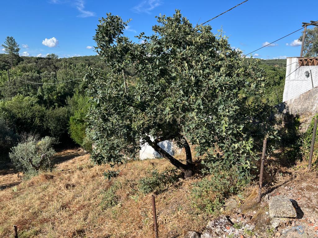 Moradia Térrea com Terreno de 950 m² a Apenas 8 km de Évora - Image 44