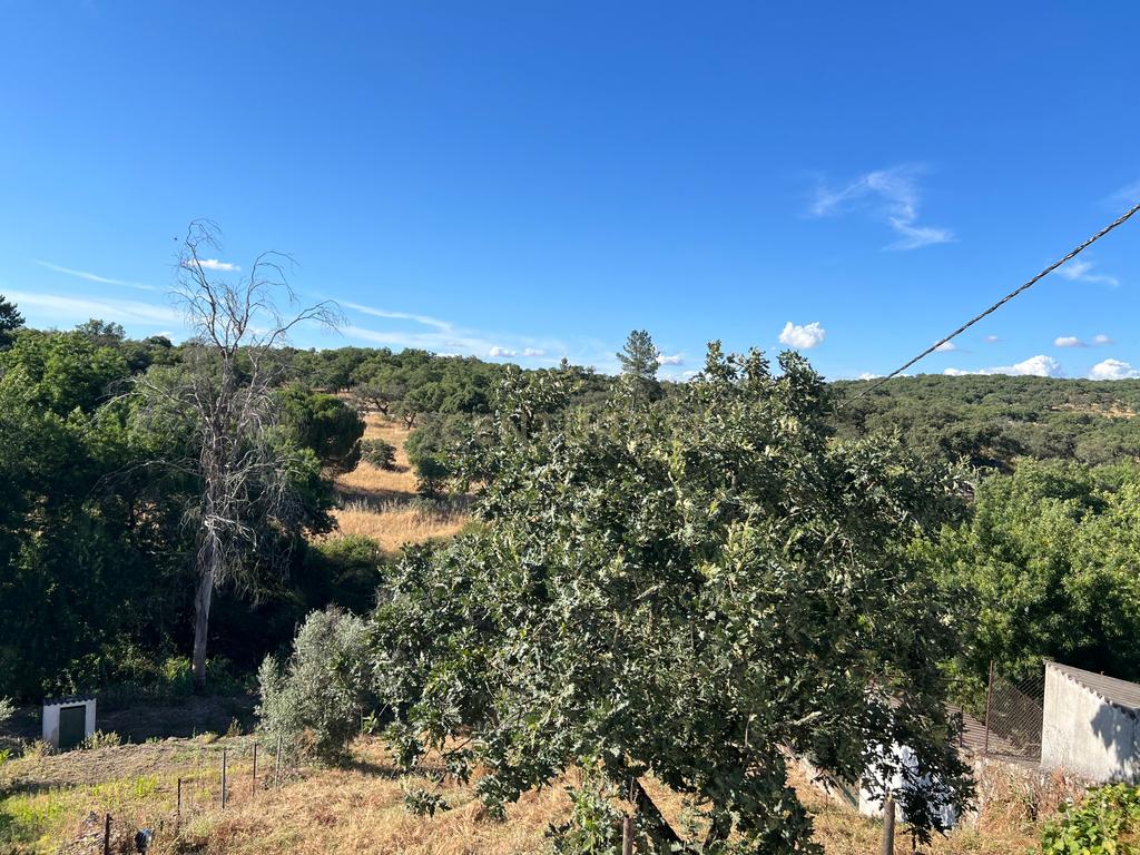 Moradia Térrea com Terreno de 950 m² a Apenas 8 km de Évora - Image 45