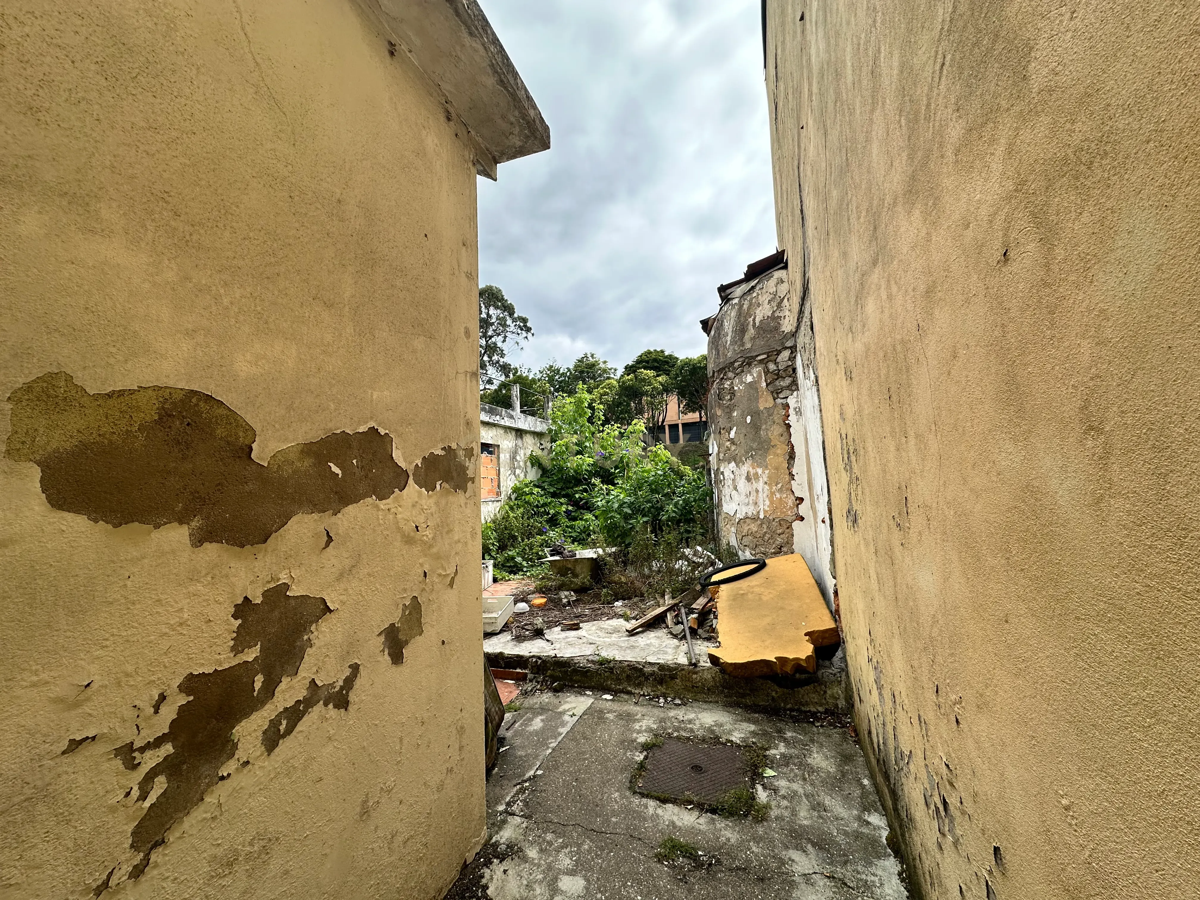 Moradia em ruína | Campo Alegre, Porto | Projeto aprovado - Image 14