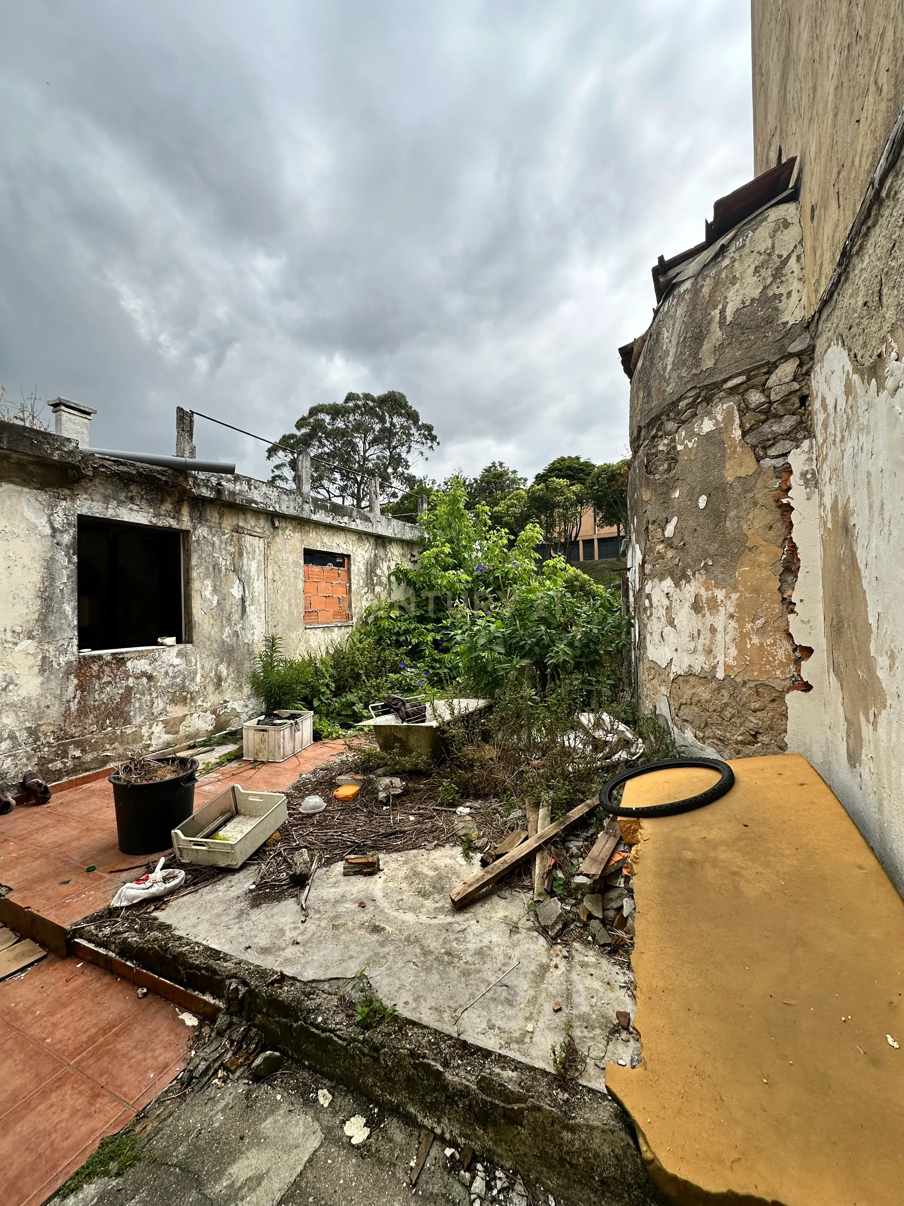 Moradia em ruína | Campo Alegre, Porto | Projeto aprovado - Image 12