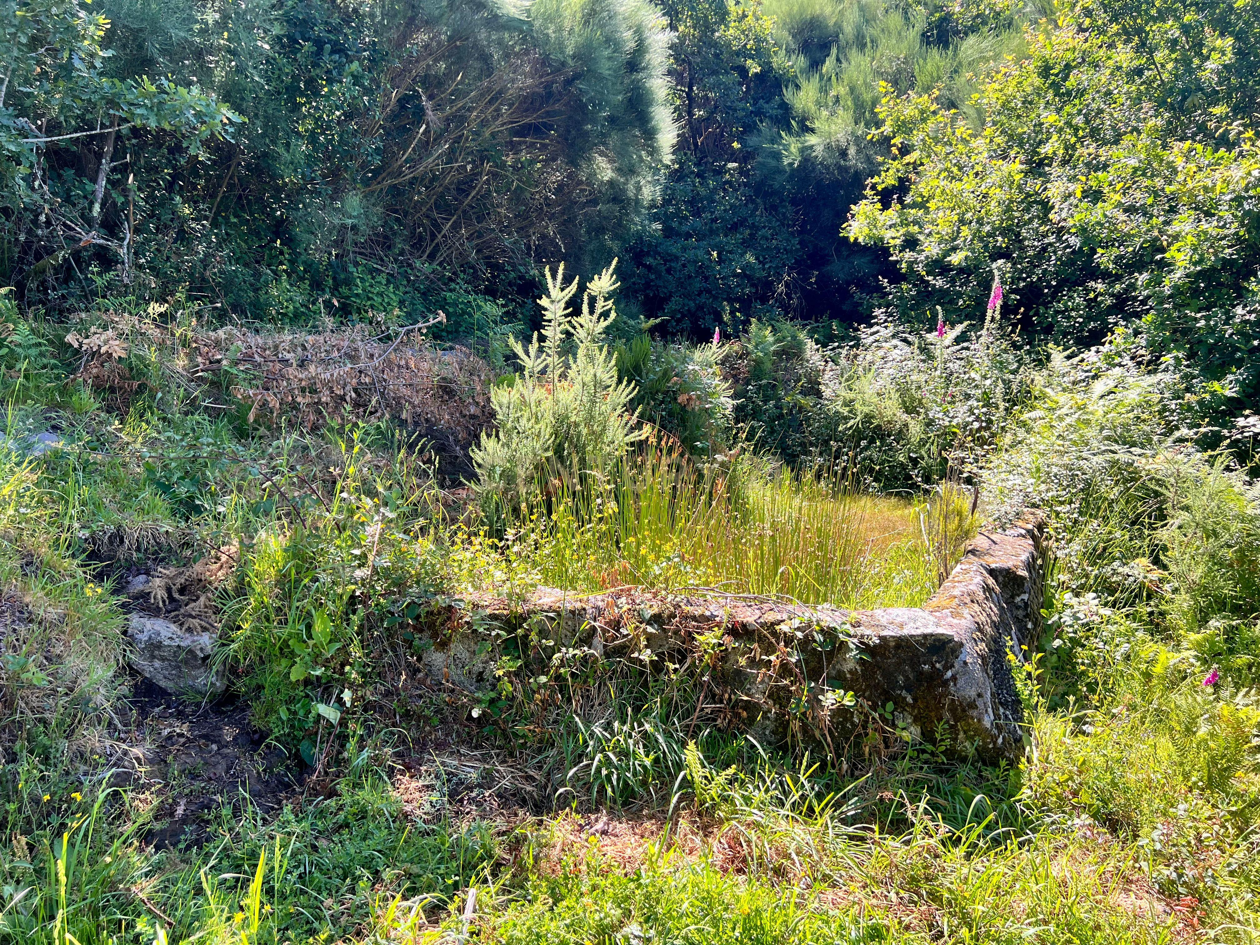 Terreno rústico em Manhouce, rodeado por uma ribeira, com possibilidade de construção de moradia. - Image 17